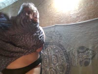 I am a very hot and cool mature, with big boobs and allways in the good mood