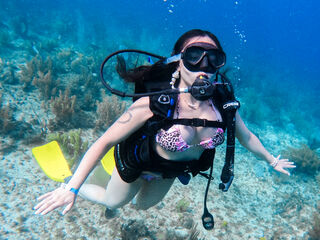 cam girl chat AliceSampaoli